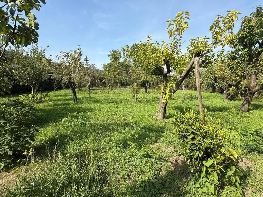 Villa a Contrada in Via Provinciale, 64 - Foto 5