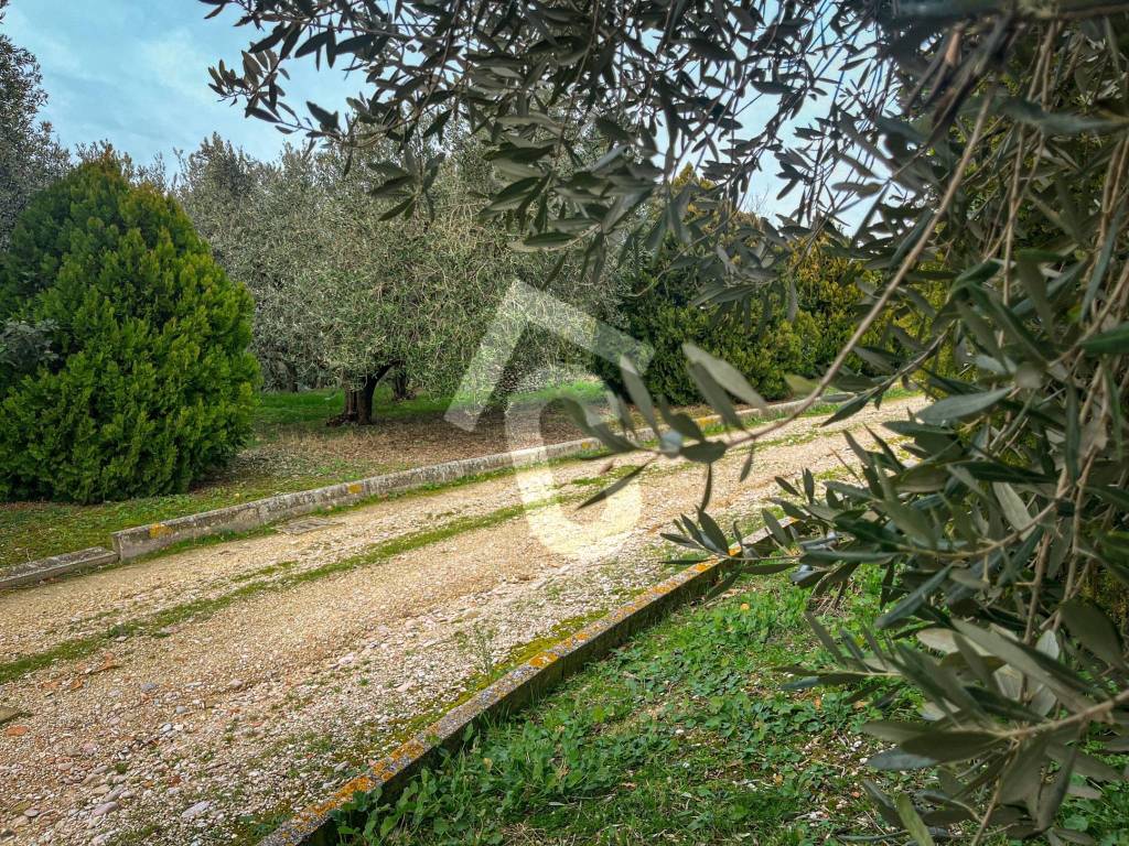 Terreno a Jesi - Foto 2