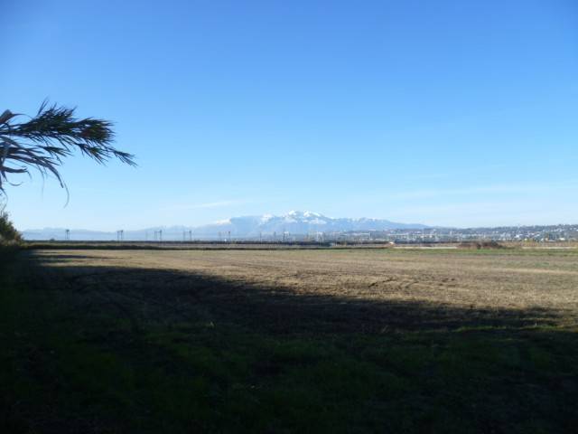 Terreno a Fossacesia - Foto 2