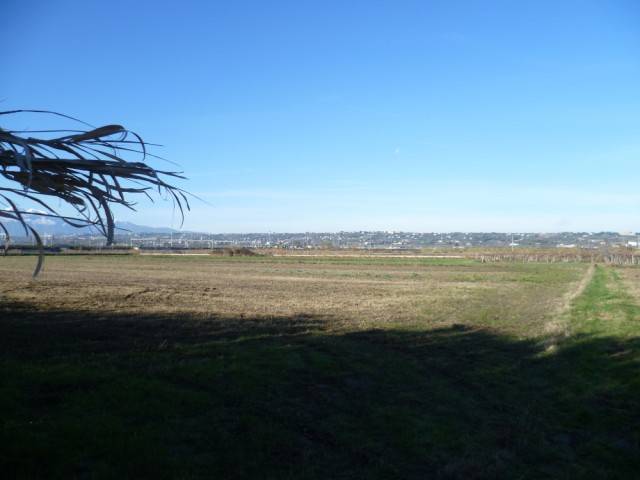 Terreno a Fossacesia - Foto 3