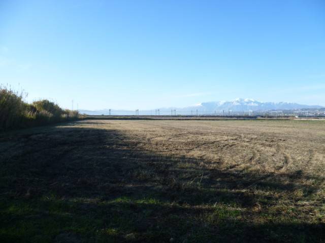 Terreno a Fossacesia - Foto 4