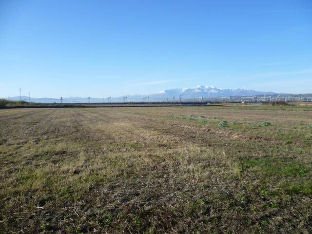 Terreno a Fossacesia - Foto 5