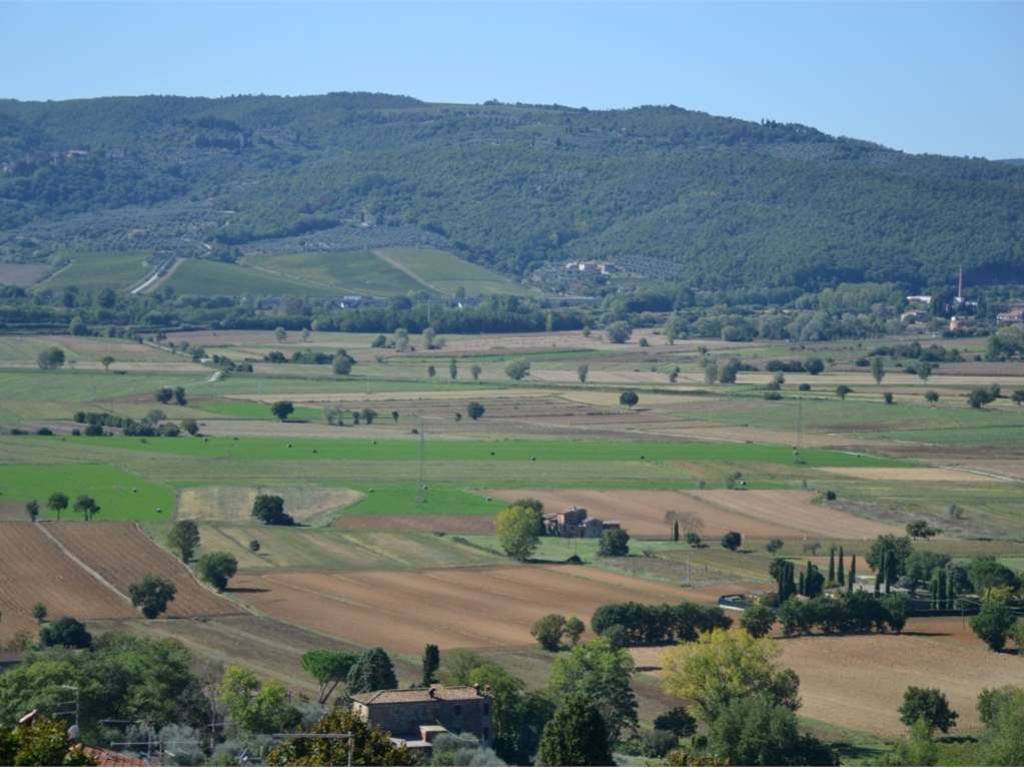 Appartamento a Lucignano - Foto 2