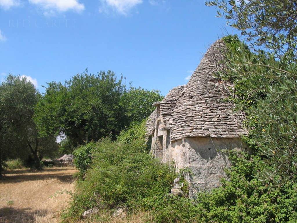 Terreno a Martina franca in Strada Carpini Zona D - Foto 2
