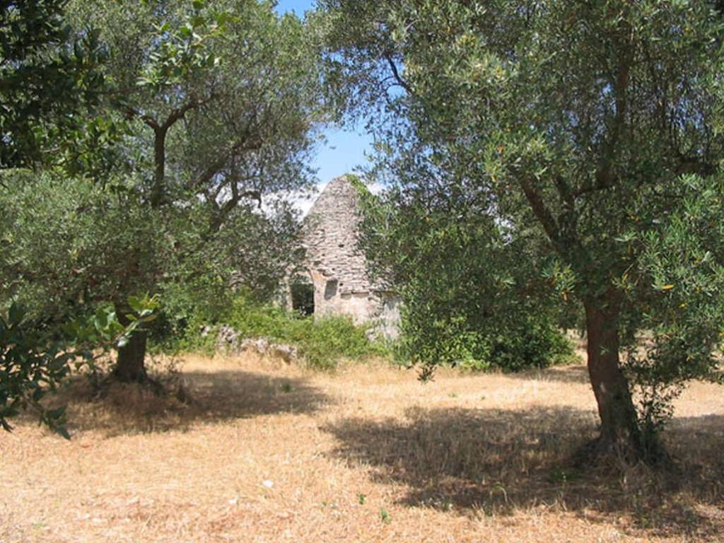Terreno a Martina franca in Strada Carpini Zona D - Foto 4