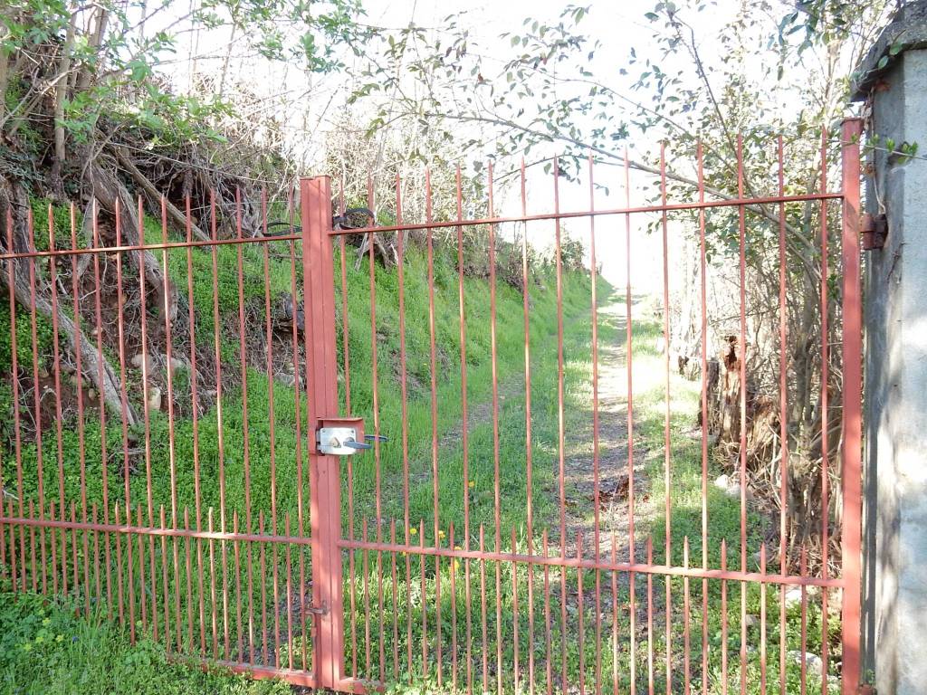 Casa indipendente a Piozzo in Località Castelletto, 10 - Foto 4