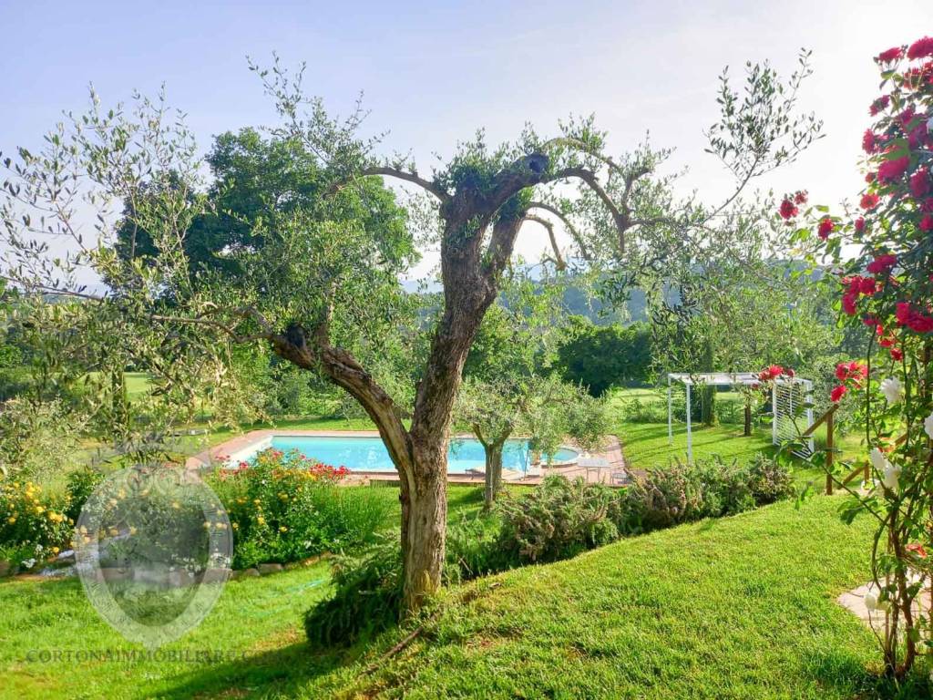 Rustico / casale a Cortona in Case Sparse Cignano - Foto 5