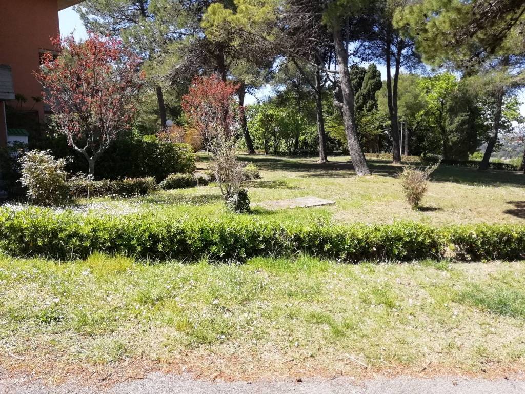 Appartamento a Pesaro in Via dell'Usignolo - Foto 3