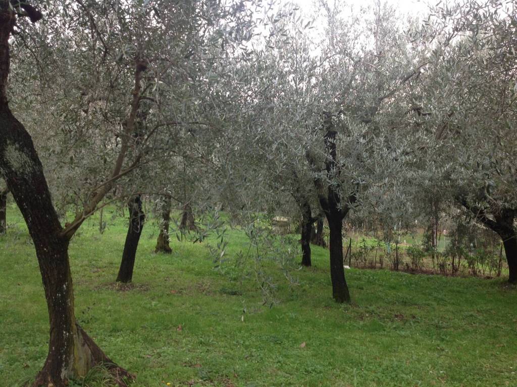 Rustico / casale a Montecatini-terme in Via di Casore - Foto 3