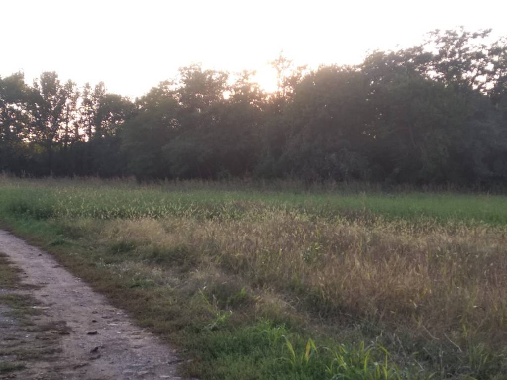 Terreno a Cislago in Via Giovanni Falcone - Foto 2