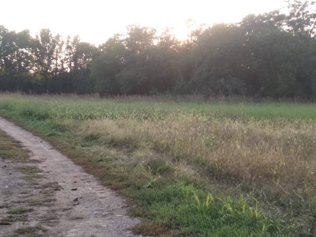 Terreno a Cislago in Via Giovanni Falcone - Foto 3