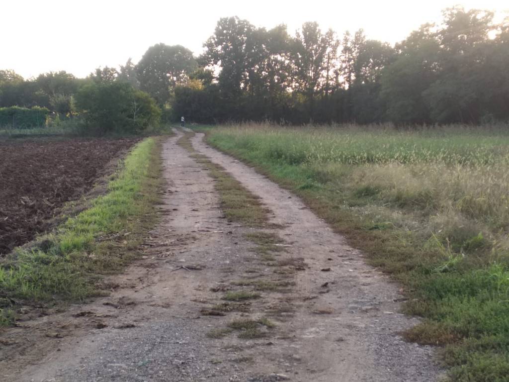 Terreno a Cislago in Via Giovanni Falcone - Foto 4