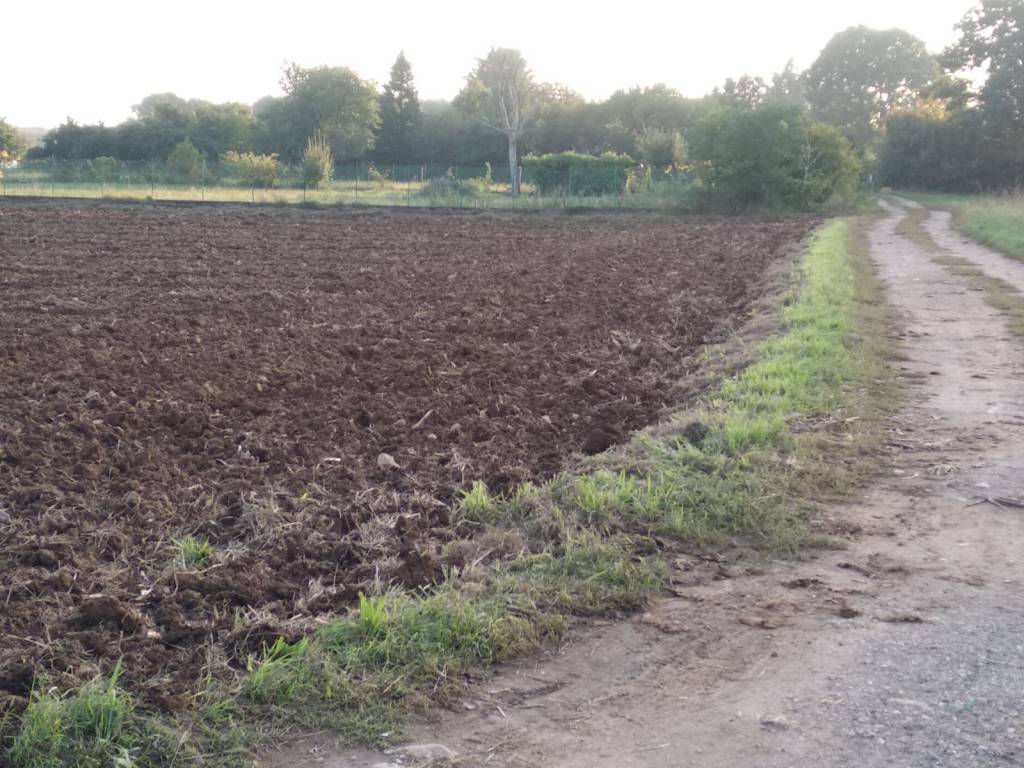 Terreno a Cislago in Via Giovanni Falcone - Foto 5