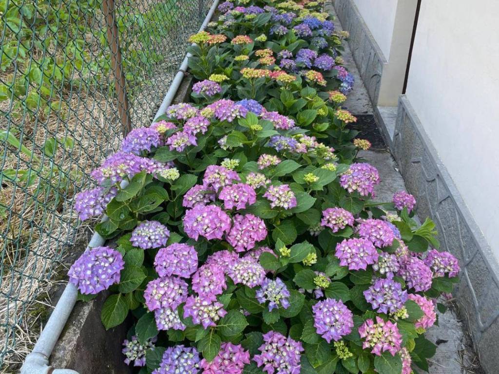Casa indipendente a San damiano d'asti in via Massimo d'Azeglio, 4 - Foto 4