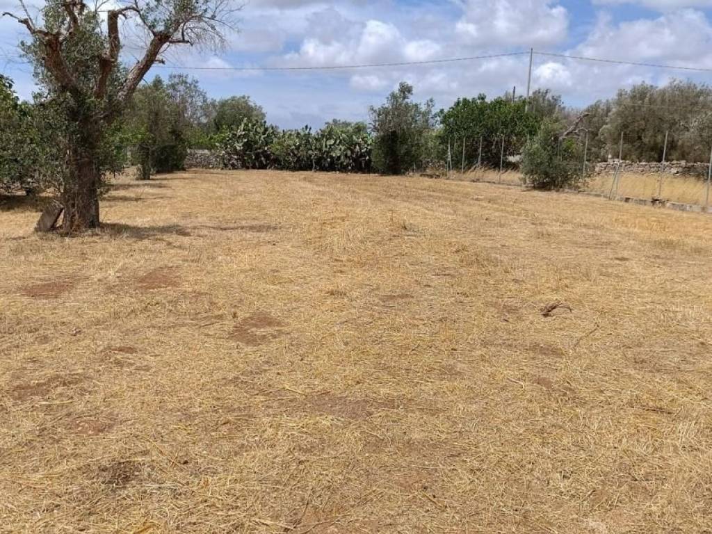 Terreno a Corigliano d'otranto in Contrada Palombaro, snc - Foto 2