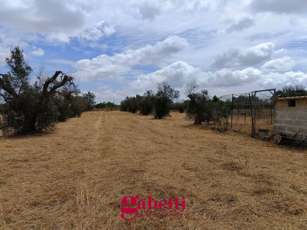 Terreno a Corigliano d'otranto in Contrada Palombaro, snc - Foto 4