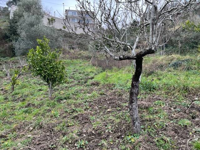 Terreno a Torchiara in Strada Sant'Antonio - Foto 2