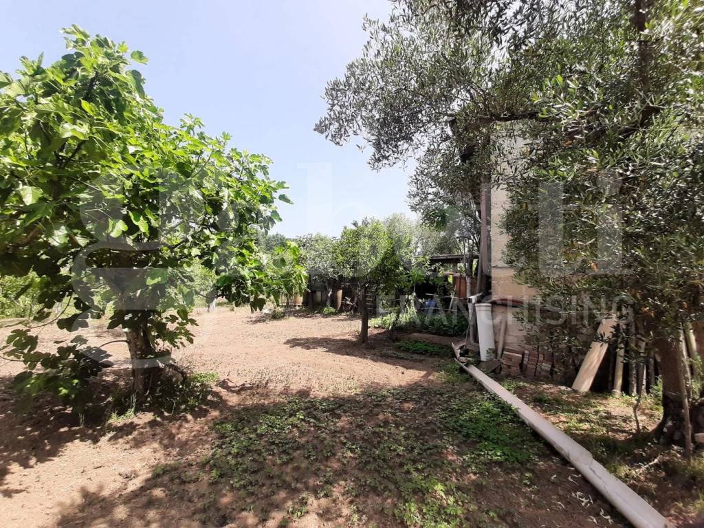 Rustico / casale a Teano in CONTRADA SAN BARTOLOMEO, snc - Foto 3