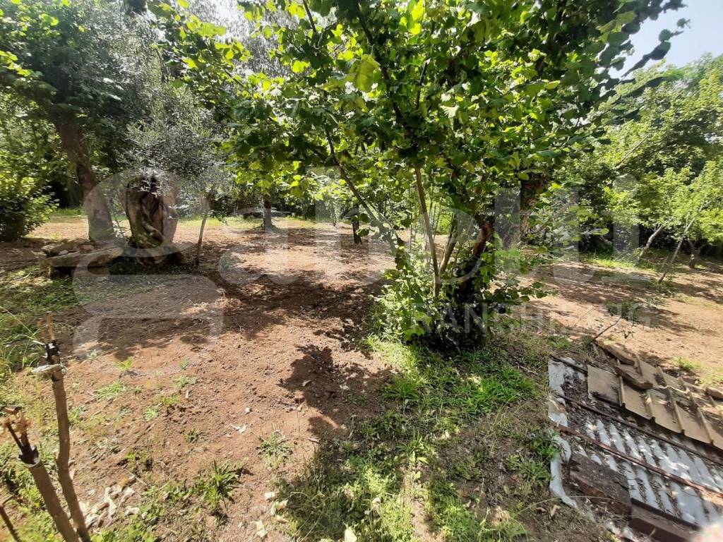 Rustico / casale a Teano in CONTRADA SAN BARTOLOMEO, snc - Foto 4