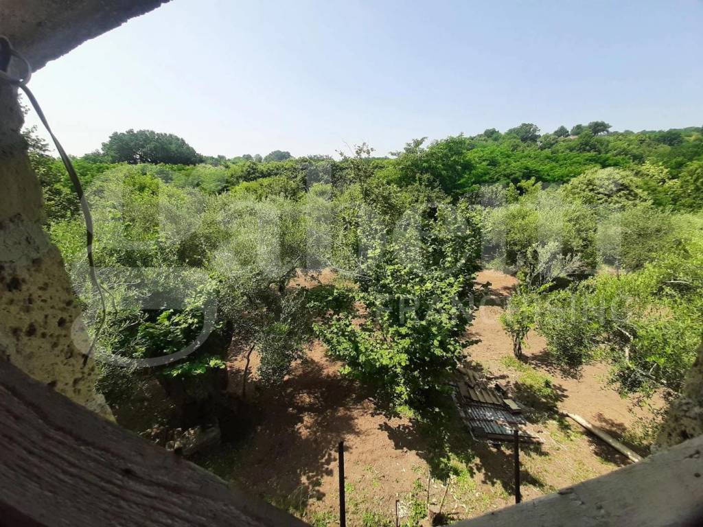 Rustico / casale a Teano in CONTRADA SAN BARTOLOMEO, snc - Foto 5
