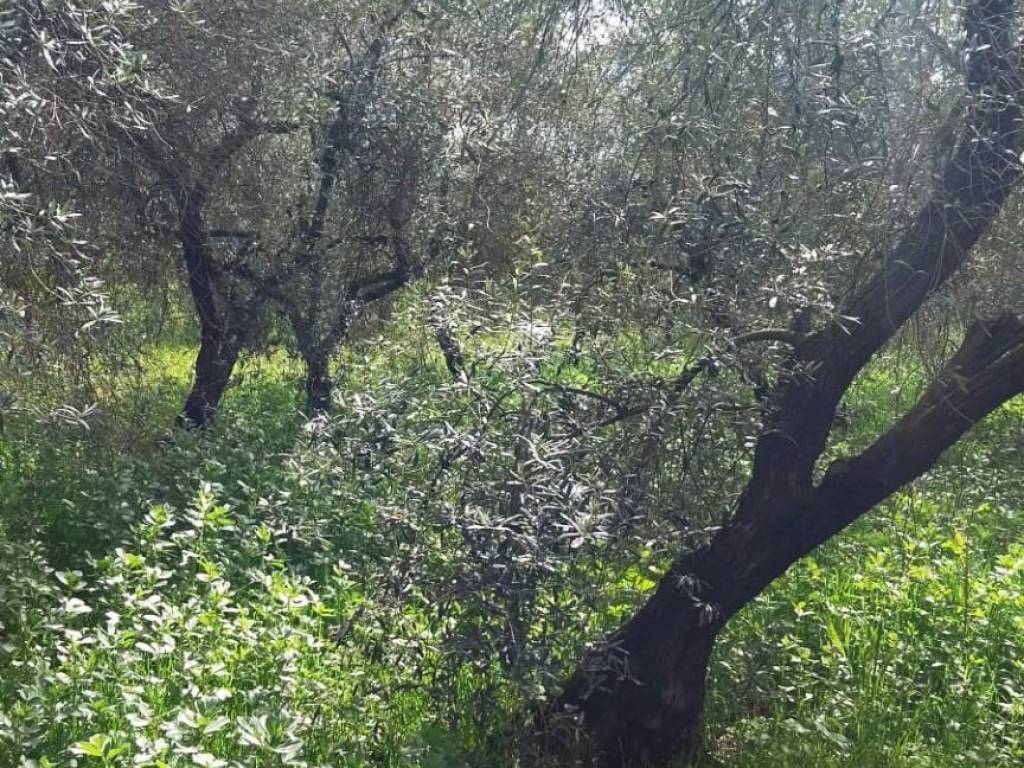 Terreno a Gaeta in Contrada Piroli - Foto 2