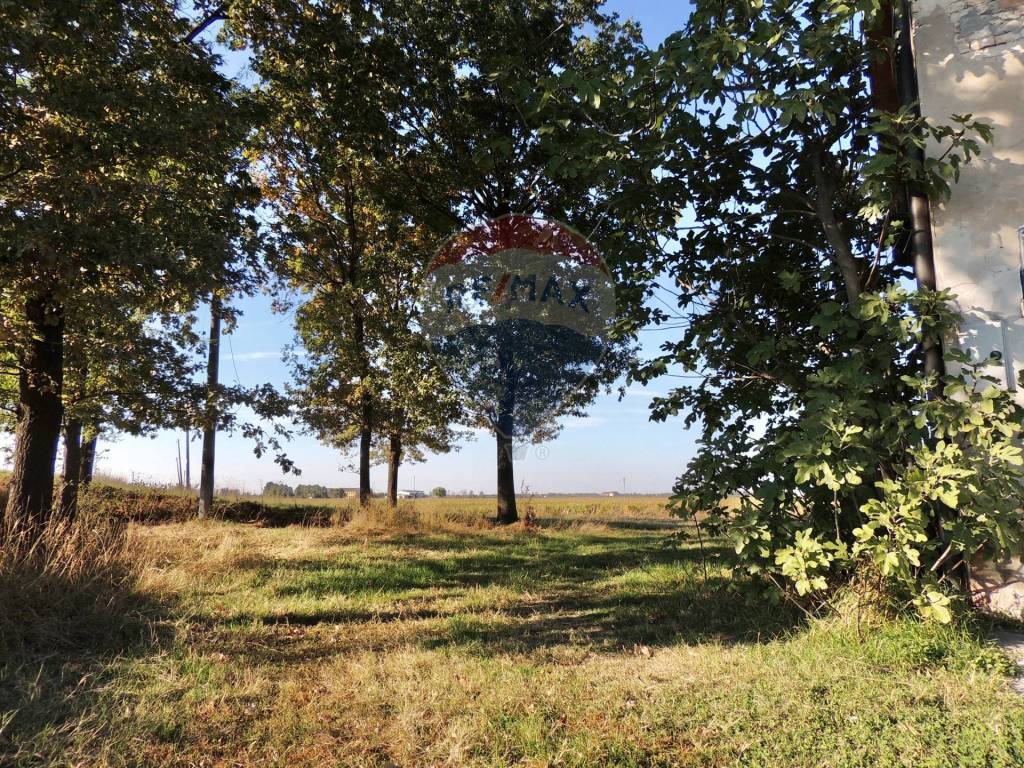 Rustico / casale a Gualtieri - Foto 4
