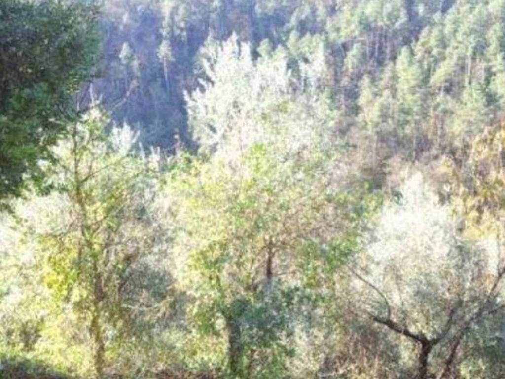 Rustico / casale a Follo in Via I° Maggio S.N.C. - Foto 4