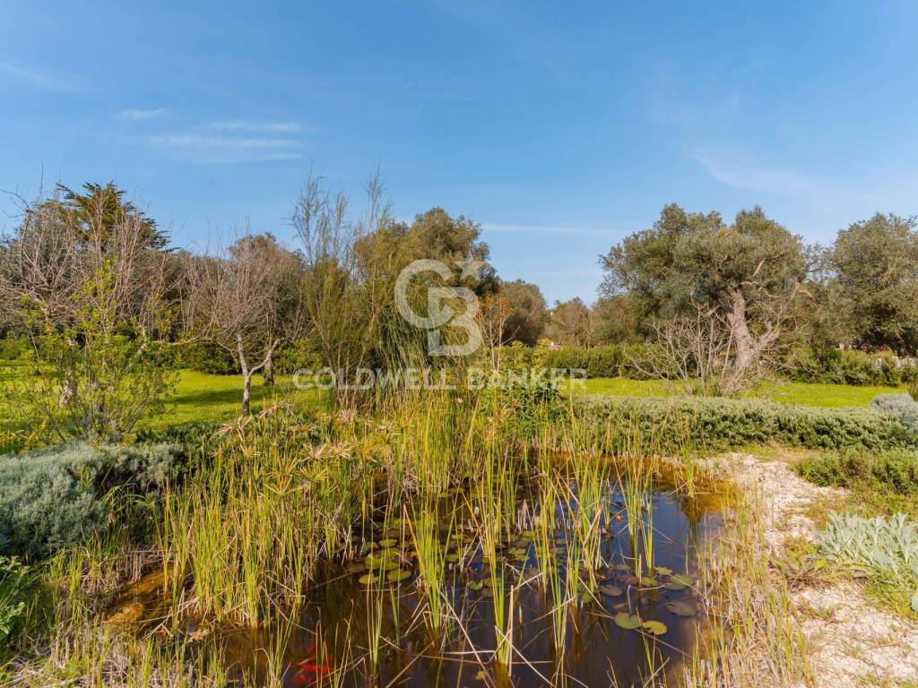 Villa a Ostuni in C.da Cervarolo, 120 - Foto 4