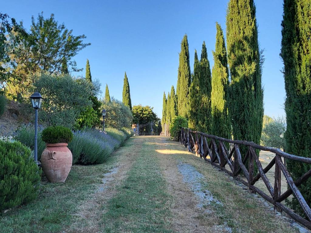Rustico / casale a Anghiari in Località Toppole - Foto 4