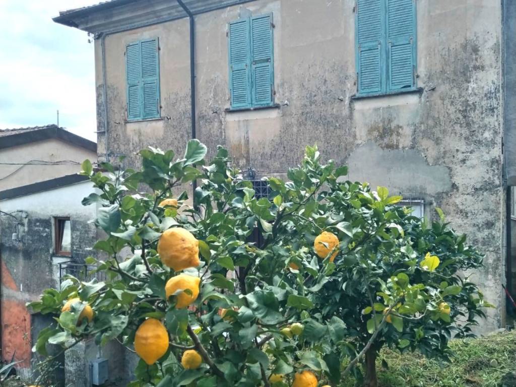 Appartamento a Follo in Via Cornice - Foto 2