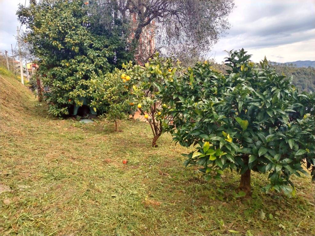 Appartamento a Follo in Via Cornice - Foto 5