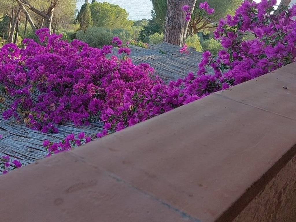 Villa a Monte argentario in LA CANNELLE - Foto 3