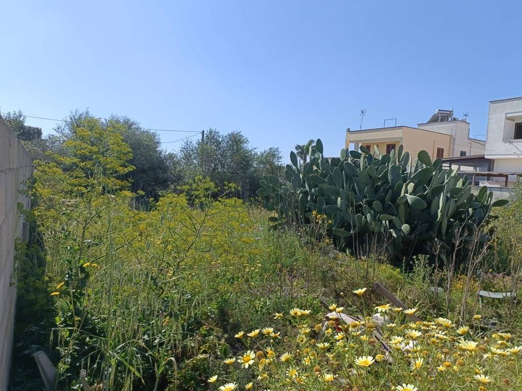 Terreno a Ugento in Via San Rocco, 29 - Foto 3