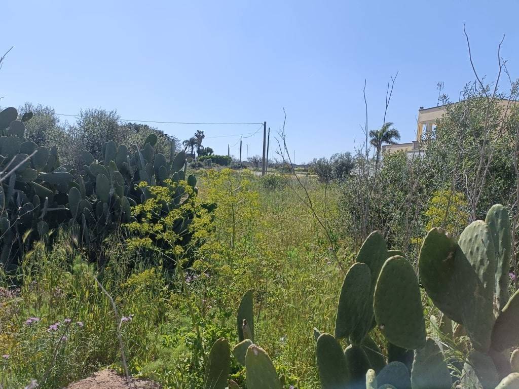 Terreno a Ugento in Via San Rocco, 29 - Foto 5