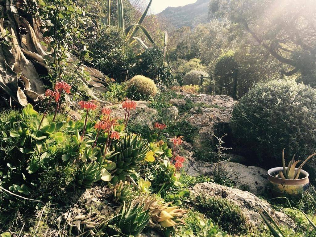 Rustico / casale a Portoferraio in Località Magazzini - Foto 2