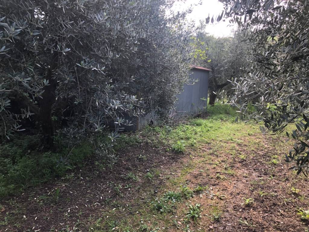 Terreno a Monte san vito in Via Metrano - Foto 2