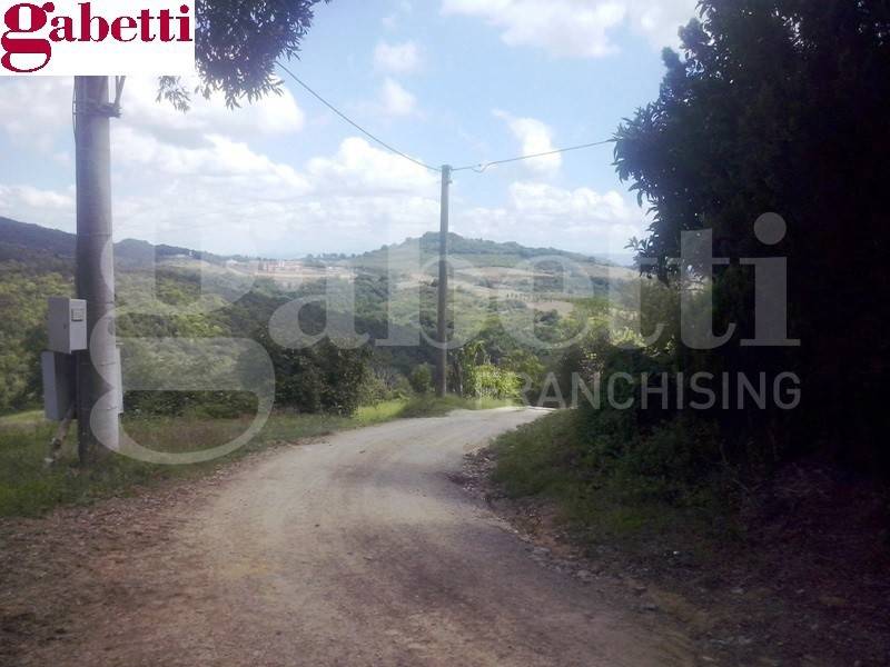 Rustico / casale a San gimignano - Foto 2