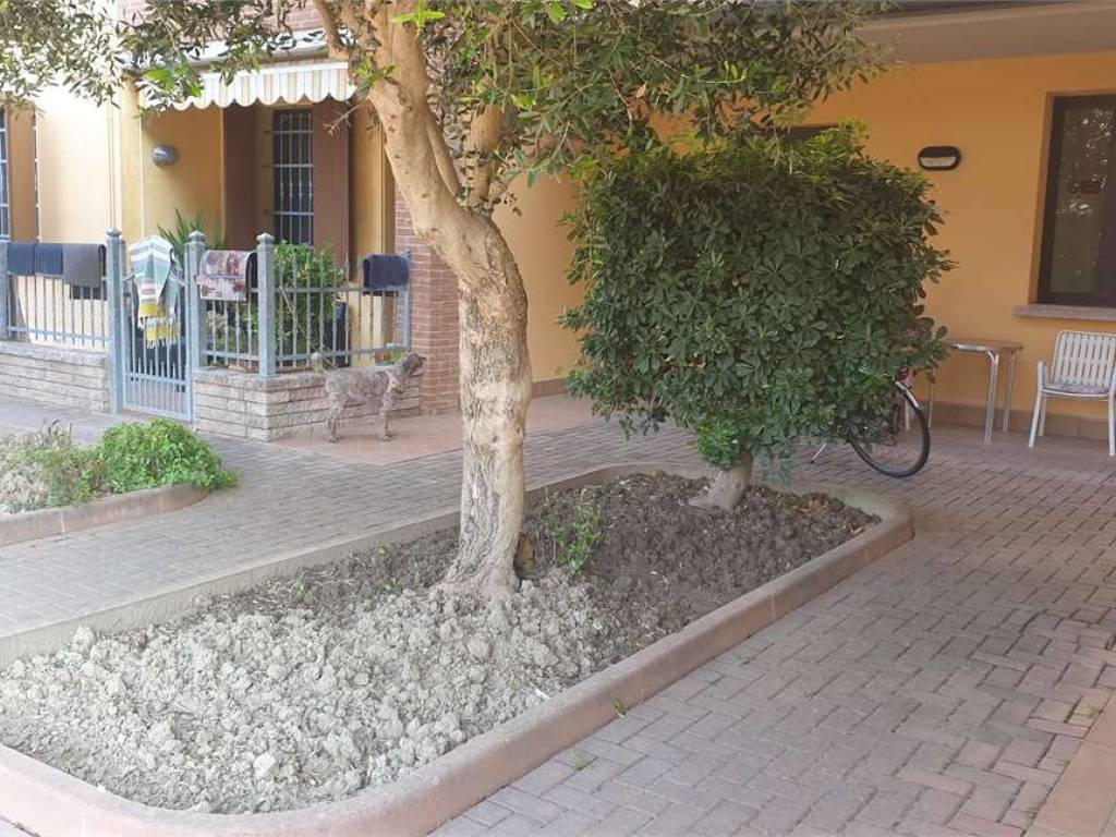 Appartamento a Moglia - Foto 2