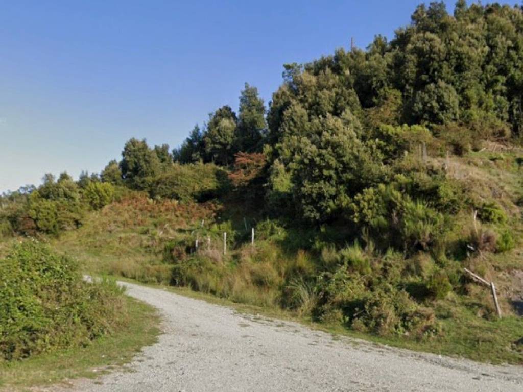 Terreno a La spezia - Foto 4