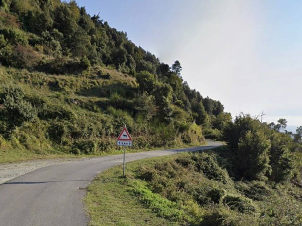 Terreno a La spezia - Foto 5