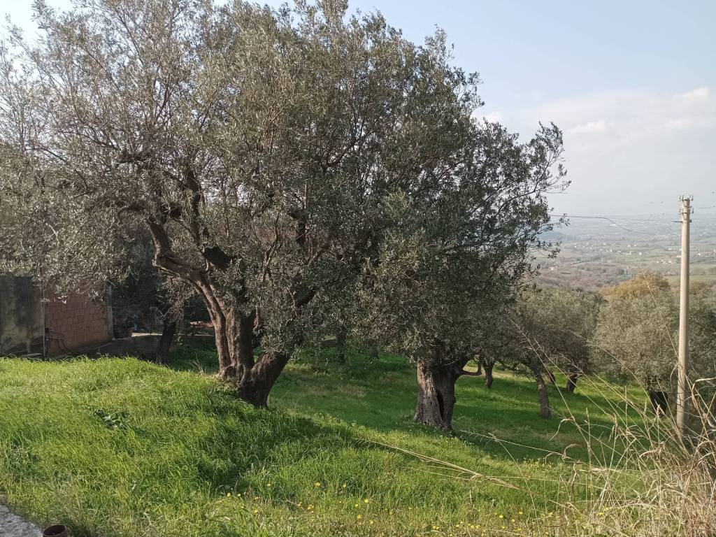 Terreno a Albanella in Via Santa Sofia - Foto 2