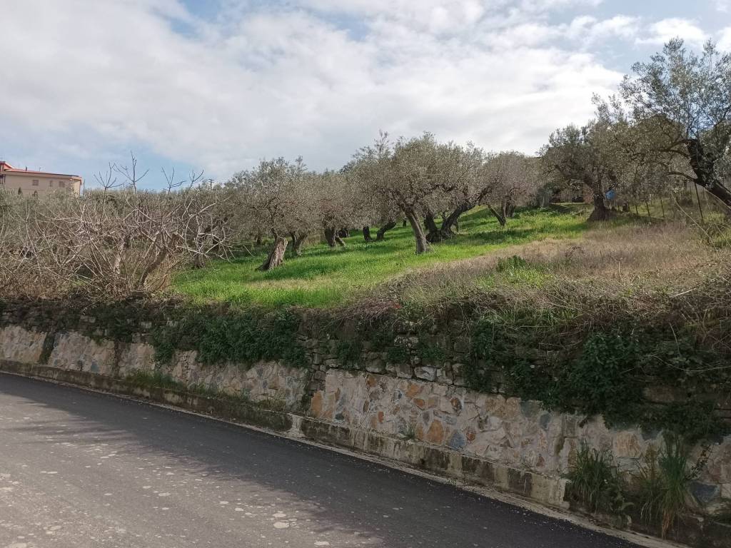 Terreno a Albanella in Via Santa Sofia - Foto 3