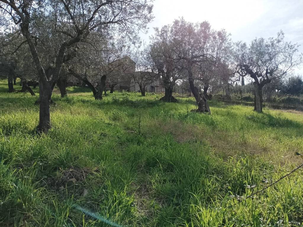 Terreno a Albanella in Via Santa Sofia - Foto 4