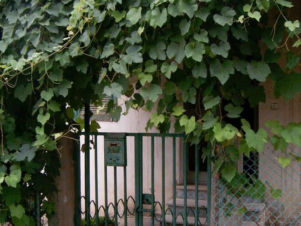 Palazzo / stabile a Sellia marina in Via Giuseppe Mazzini - Foto 5
