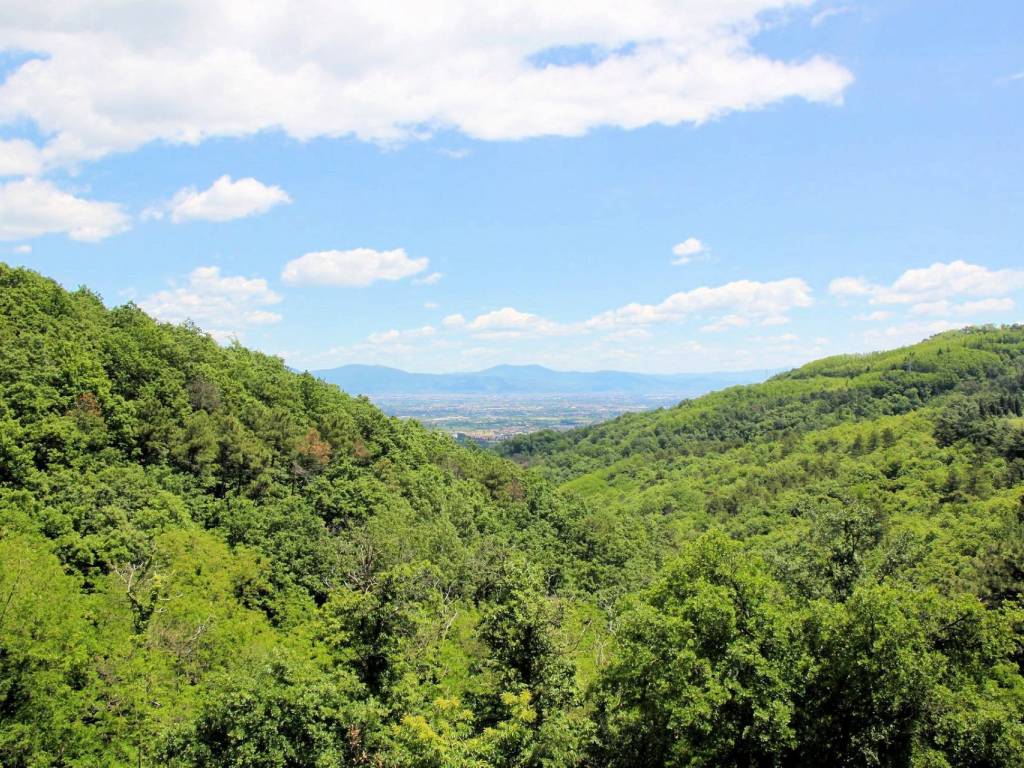 Rustico / casale a Monsummano terme - Foto 2