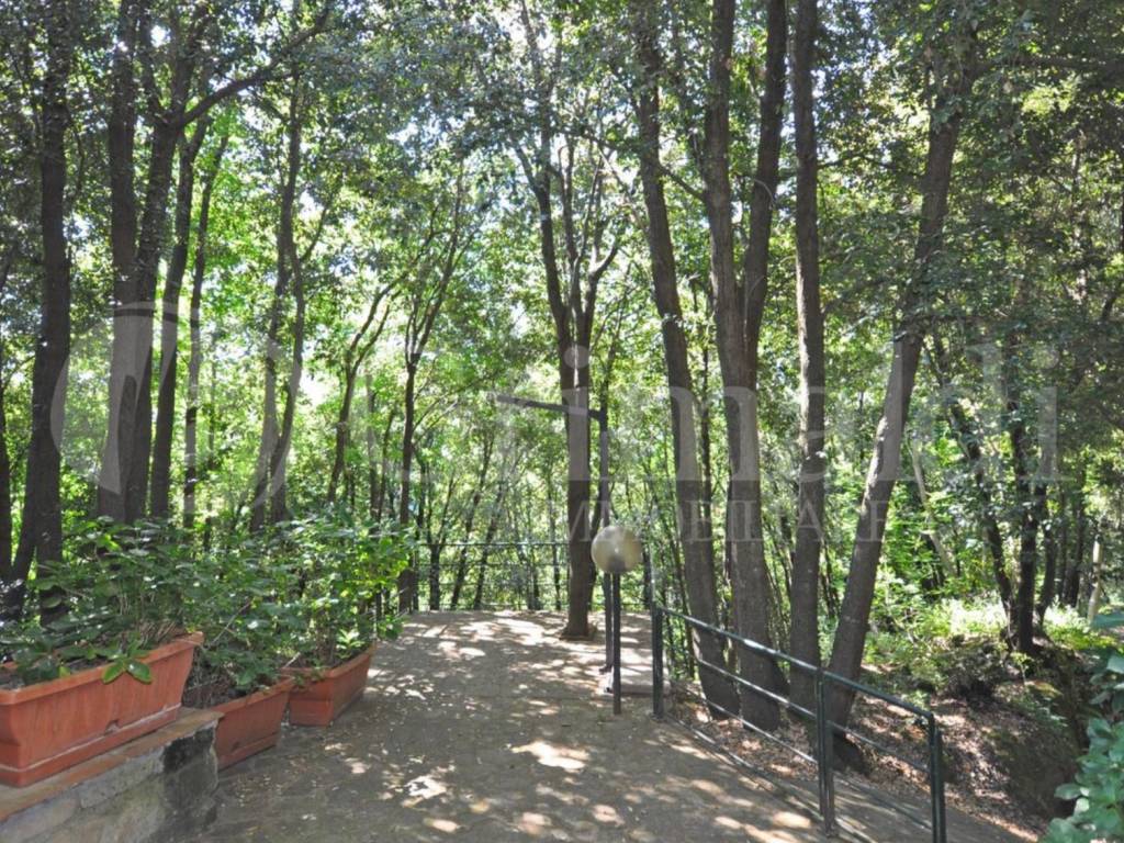 Casa indipendente a Pitigliano in Località Concelli - Foto 3