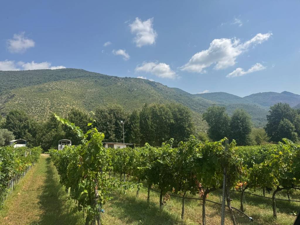 Terreno a Sermoneta in Via Pozzo Vione - Foto 2