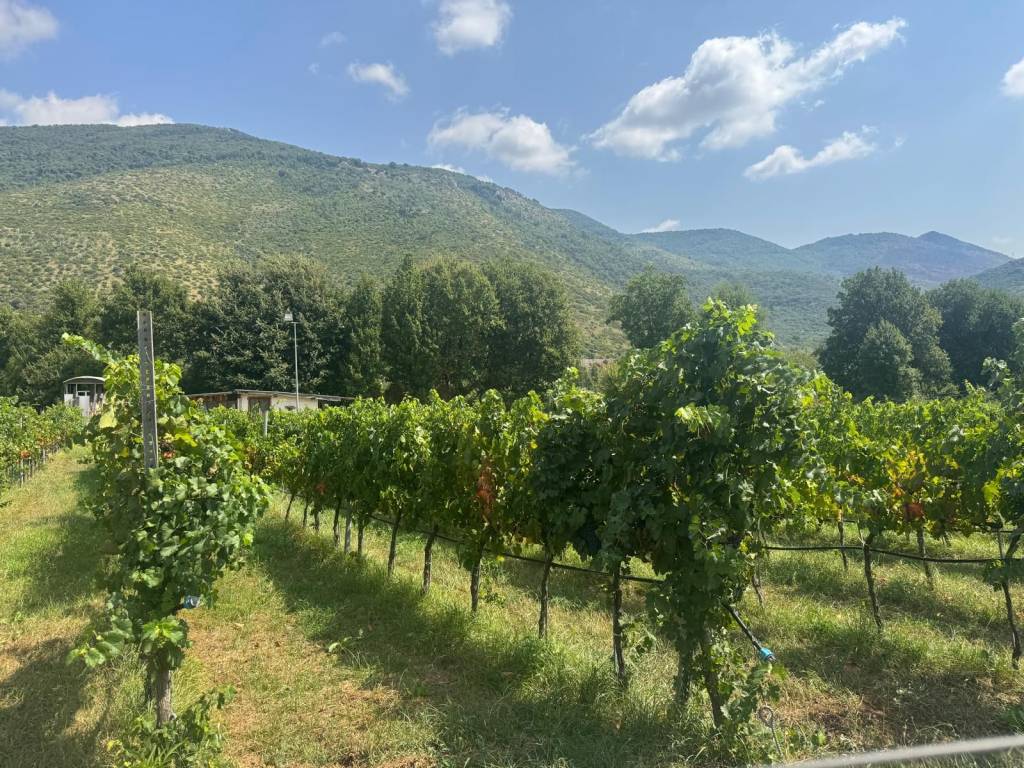 Terreno a Sermoneta in Via Pozzo Vione - Foto 5