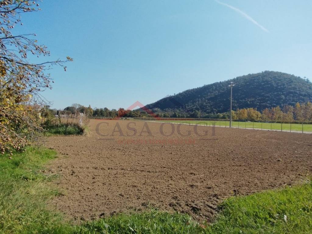 Terreno a Teolo - Foto 3