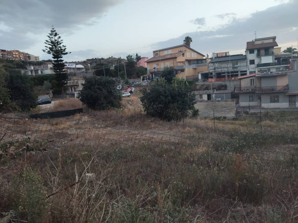 Terreno a Carlentini in Contrada Falconello Sud - Foto 5